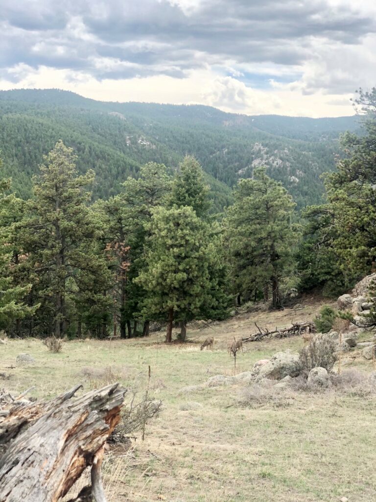 mindfulnessretreat